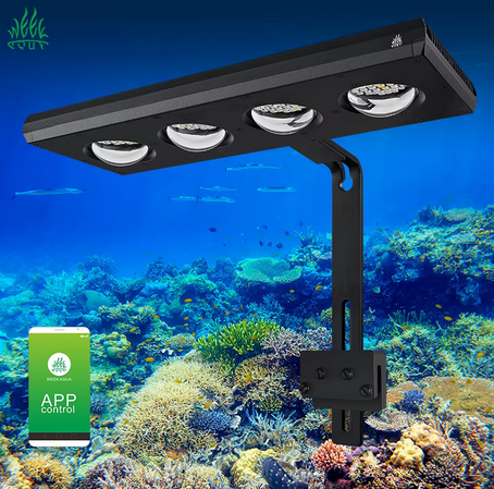 Lampara Z400sea-Z Marino