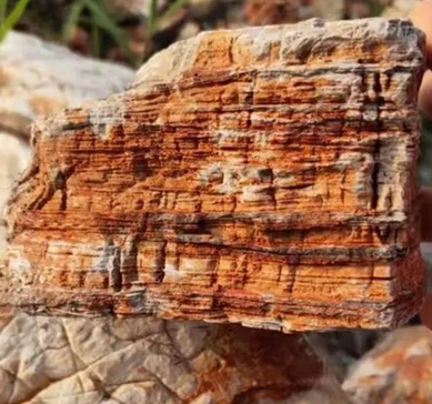 Roca Red Melelauca 1kg